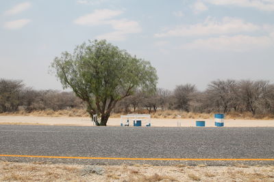 Trees by road against sky