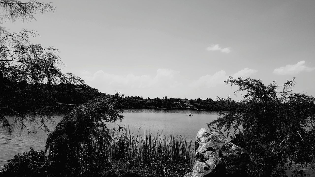 water, tranquil scene, tranquility, sky, tree, scenics, reflection, beauty in nature, nature, lake, sea, calm, idyllic, waterfront, silhouette, horizon over water, growth, outdoors, no people, plant