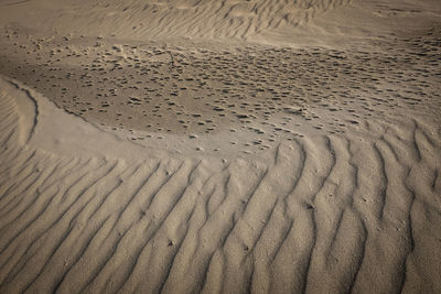 Full frame shot of sand dune