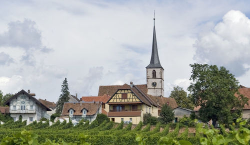 Panoramic view of trees and buildings against sky