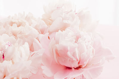 Close-up of white rose bouquet