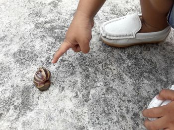 Low section of child pointing at snail on land