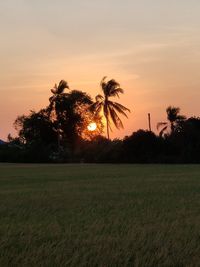 Silhouette trees on field against sky at sunset