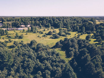 High angle view of trees on field against sky