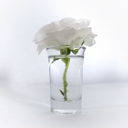 Close-up of rose in glass on table