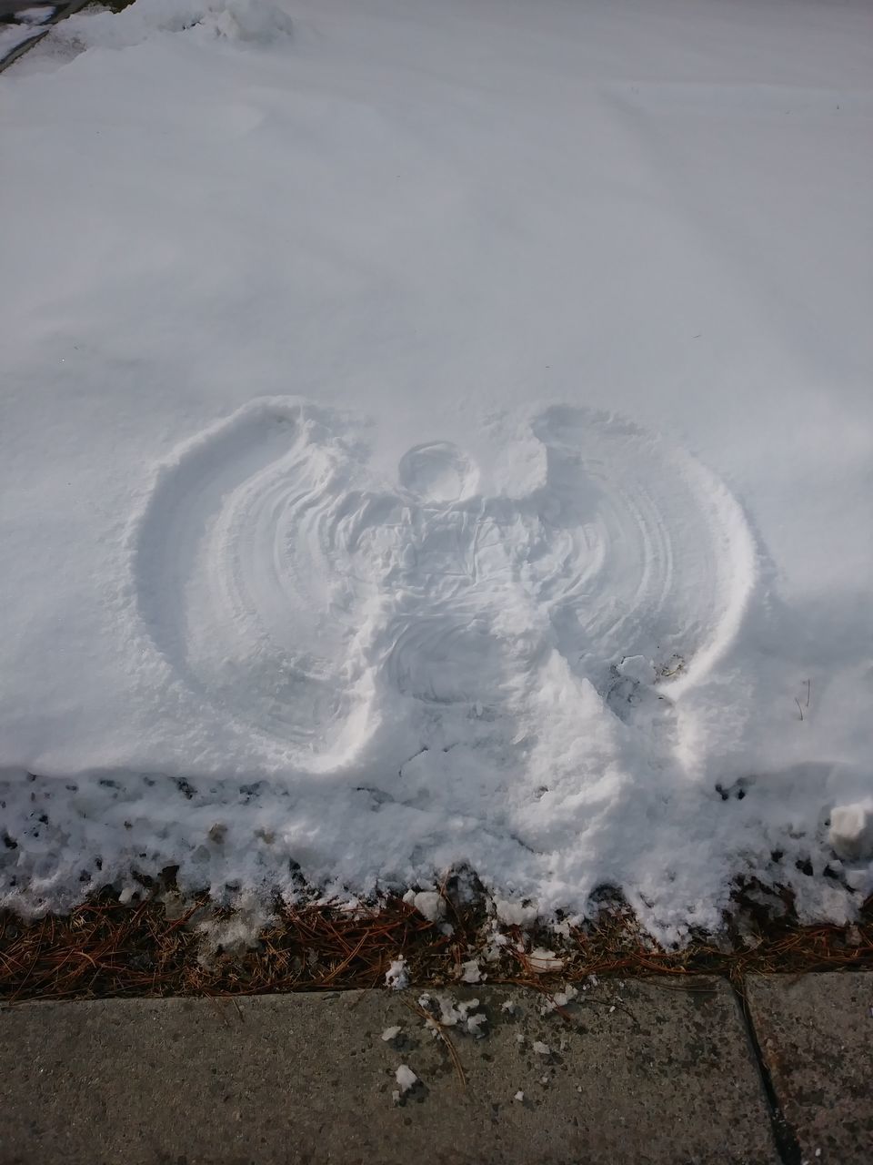 HIGH ANGLE VIEW OF SNOW COVERED FIELD