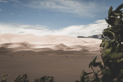 Scenic view of desert against sky