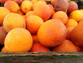 Close-up of oranges