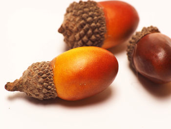 Close-up of oranges on table against white background