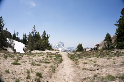 Scenic view of landscape against clear sky