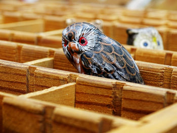 Owl figurines in wooden containers at market stall