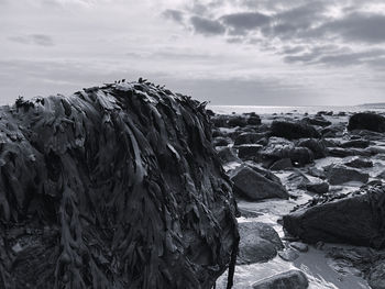 Panoramic view of sea against sky