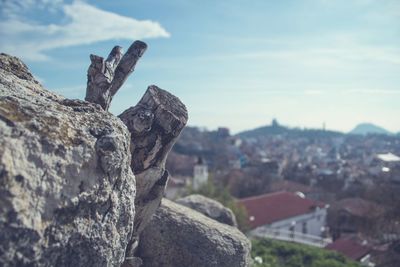 Close-up of rock in city against sky