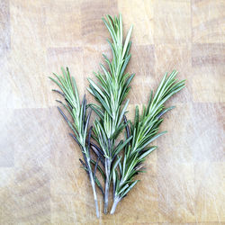 Directly above shot of rosemary on table
