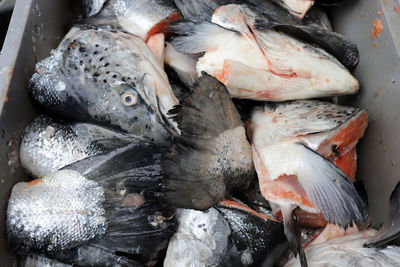 Close-up of fish for sale in market