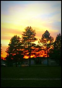 Silhouette trees on landscape against orange sky