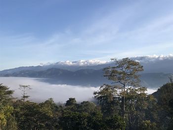 Scenic view of tree mountains against sky