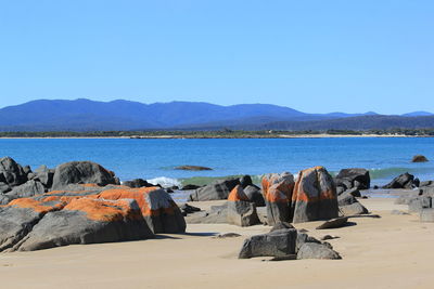 Scenic view of sea against clear blue sky