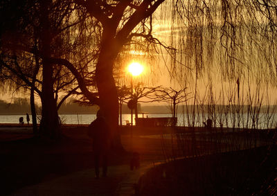 Silhouette bare trees by lake against sky during sunset