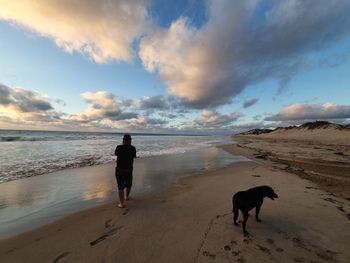 Full length of dog on beach