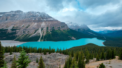 A fantastic lake that fed from glaciers water between mountains, peyto lake, banff, canada.