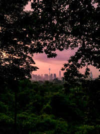 Silhouette of trees and buildings during sunset