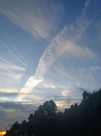 Low angle view of trees against sky