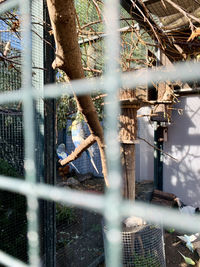 Man seen through chainlink fence