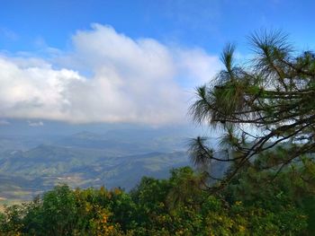 Scenic view of trees and mountains against sky