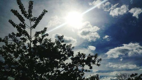 Low angle view of trees against sky