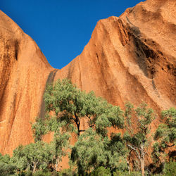 Plants growing on rock against sky