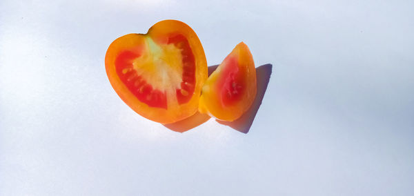 High angle view of orange against white background