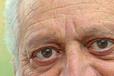 Close-up portrait of human eye