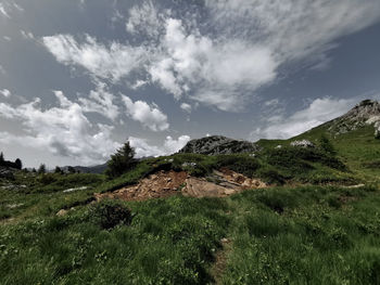 Scenic view of landscape against sky