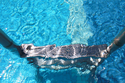 High angle view of ladder in swimming pool