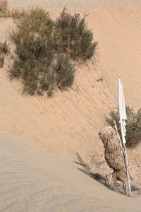 High angle view of a desert