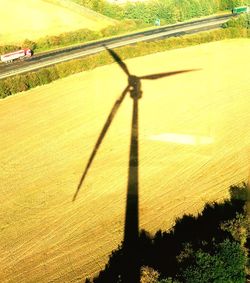 Shadow of tree on field against sky