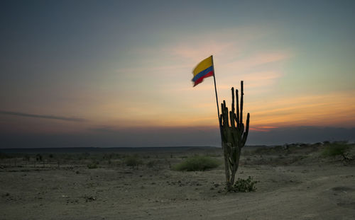 Colombian flag on field against sky at sunset