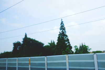 High section of trees against sky