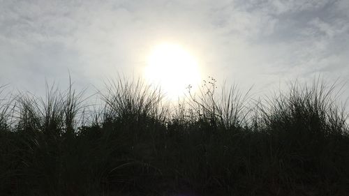 Scenic view of landscape against sky at sunset