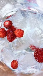 Close-up of red berries in water