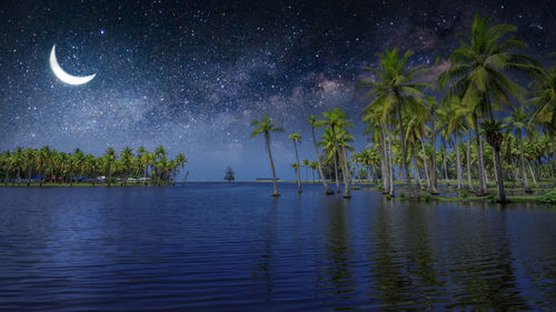 Scenic view of tropical island with coconut trees and beautiful sky