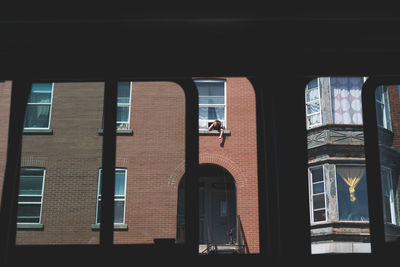 Reflection of building on glass window