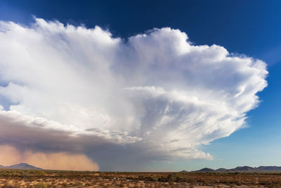 A thunderstorm cumulonimbus cloud towers over a haboob dust storm in the arizona desert.