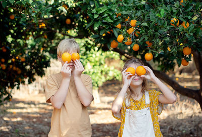 Cropped hand holding orange 