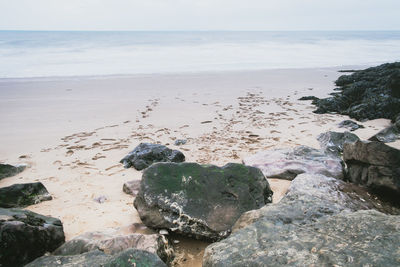 Close-up of person on beach against sky