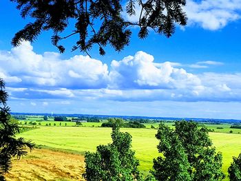 Scenic view of field against sky