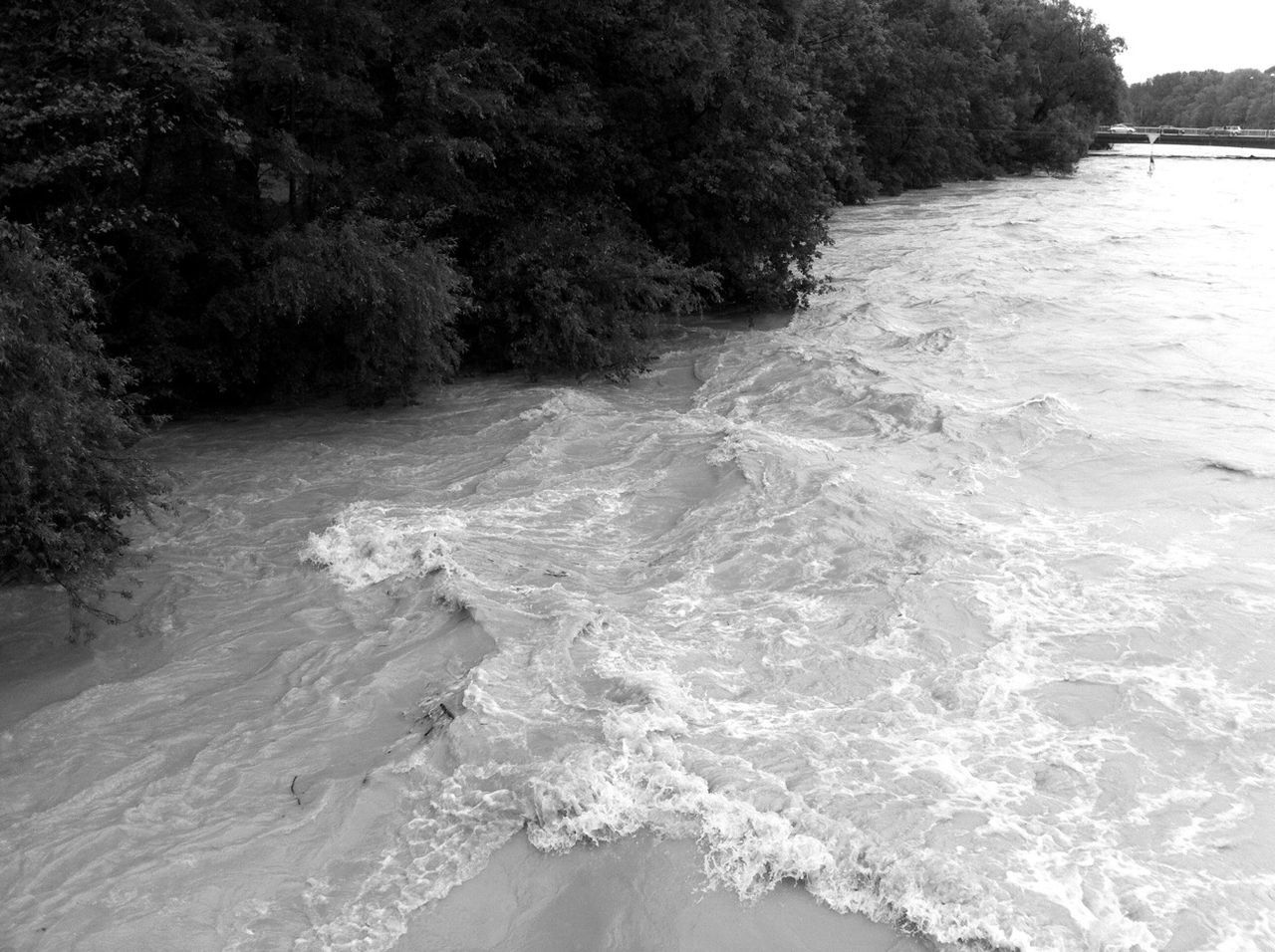 water, river, nature, tree, tranquility, beauty in nature, tranquil scene, scenics, surf, flowing water, stream, day, rippled, no people, outdoors, beach, shore, sunlight, motion, idyllic