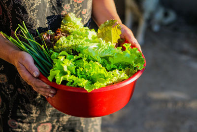 Midsection of man holding plant