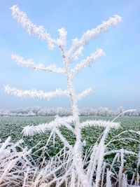 Scenic view of snow covered land against sky